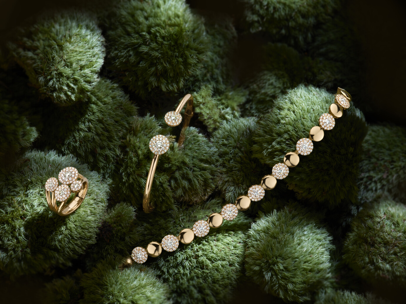 GioMio Jewelry nieuw in de collectie bij Kopmels Juwelier