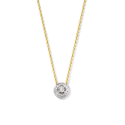 14 karaat wit en geelgouden dun collier met diamant