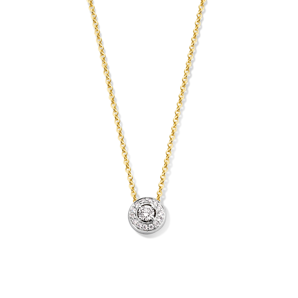 14 karaat wit en geelgouden dun collier met diamant