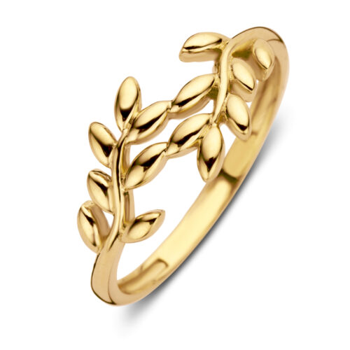 14 karaat geelgouden fantasie ring