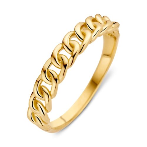 14 karaat geelgouden aanschuifring gourmette